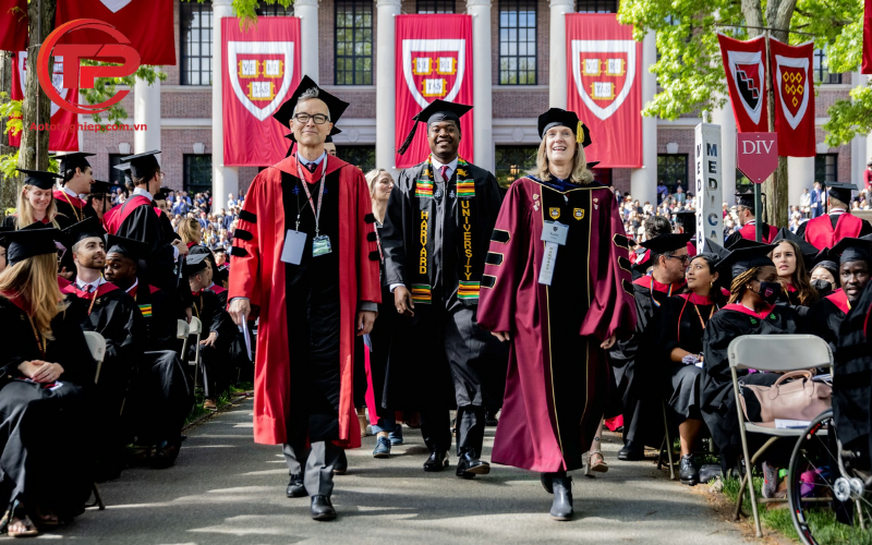 Đại học Harvard - Top 6 mẫu áo cử nhân đại học