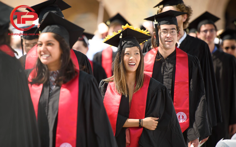 Đại học Stanford - Top 6 mẫu áo cử nhân đại học
