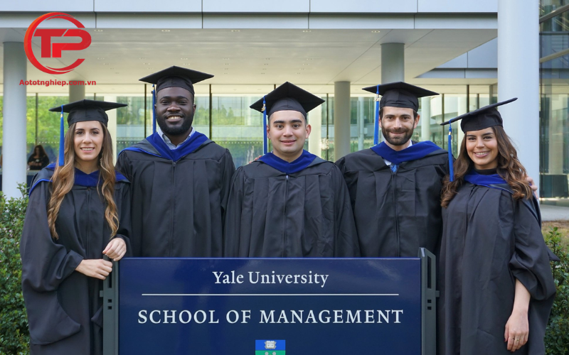 Đại học Yale - Top 6 mẫu áo cử nhân đại học